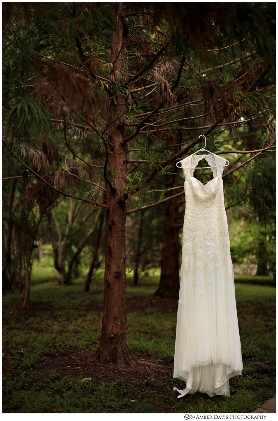 wedding dress hanging pics