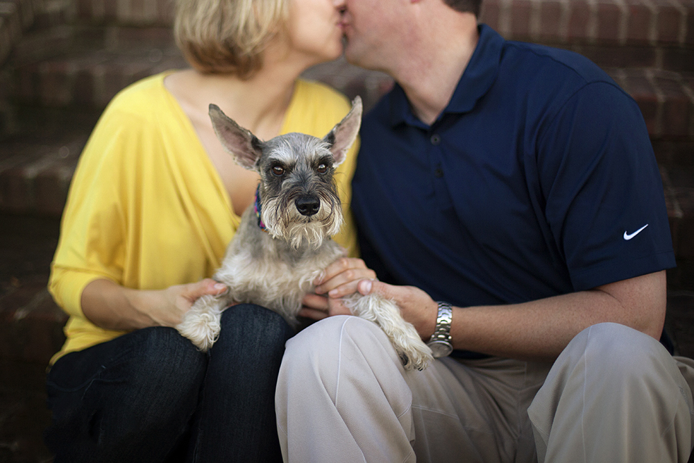 Dogs in engagement photos