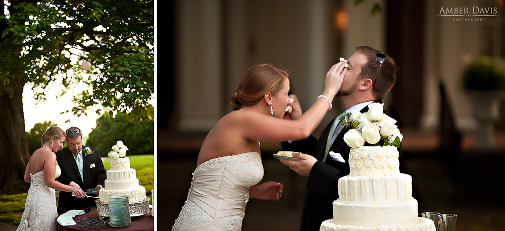 wedding cake bride smashes grooms face