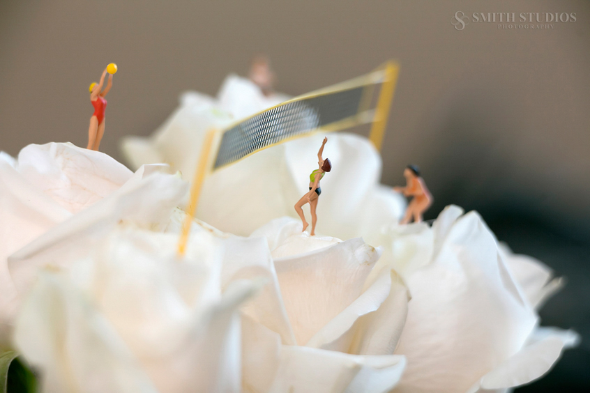 white wedding roses creative photography