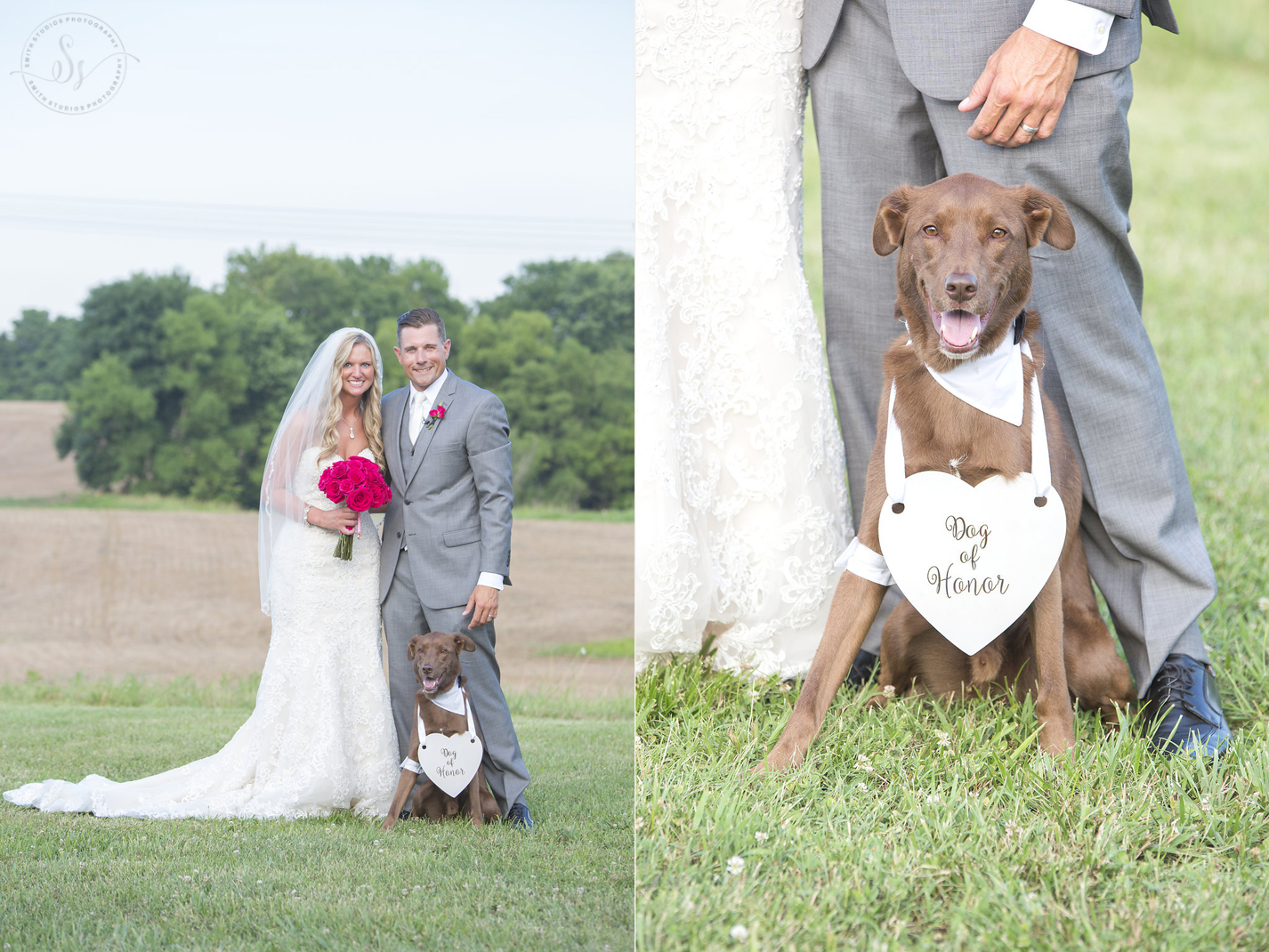 Nashville wedding photographers dogs in wedding