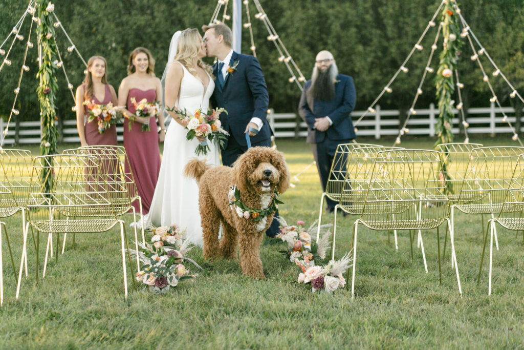 dogs-in-wedding-ceremony